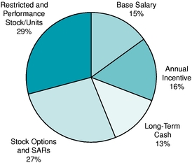 EXEC COMP PIE CHART